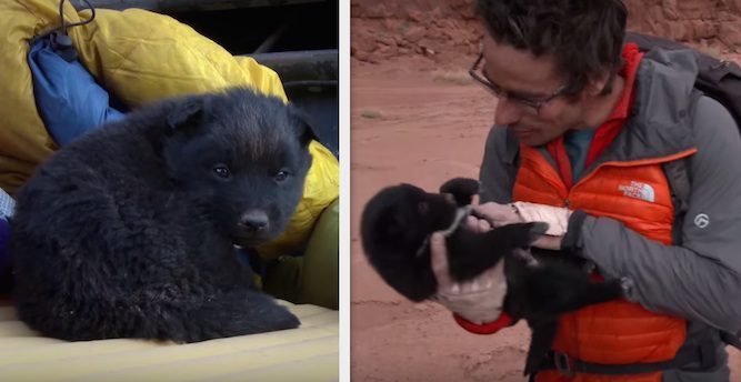 Adventurers Rescue Puppy Abandoned In The Desert And Take Him On Their Road Trip