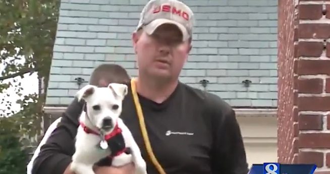 Man Goes Out Of His Way to Find Lost Dogs For Free
