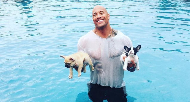 The Rock with puppies