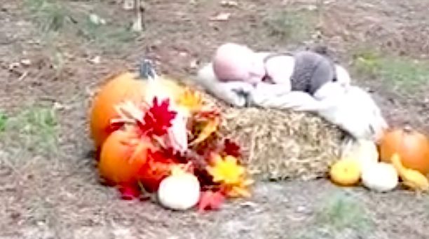 Deer Wanders Into Baby’s Autumnal Photoshoot Making For Unforgettable Experience
