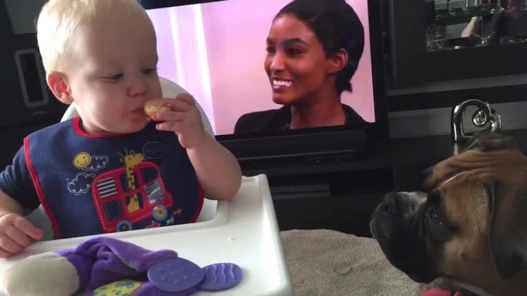 Baby Has Funny Reaction After Handing Dog His Cookie