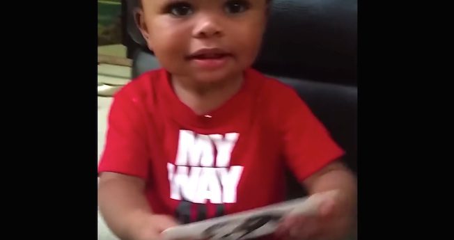 Baby Cannot Stop Laughing When He Sees Picture Of A Donkey