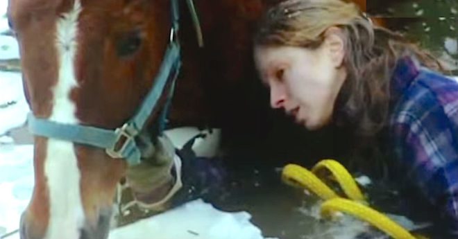 Heroic Wolf Dog Saves Owner And Blind Horse From Freezing To Death