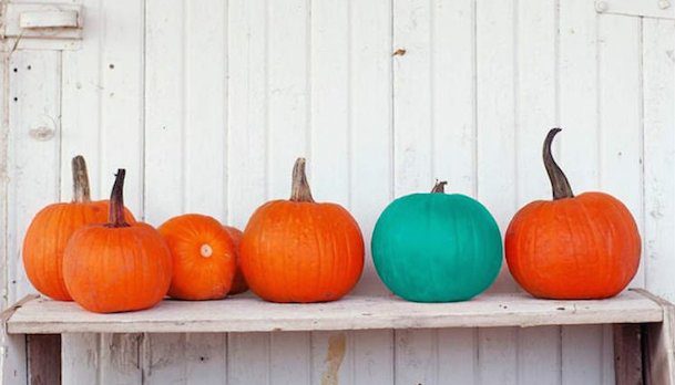 teal pumpkin