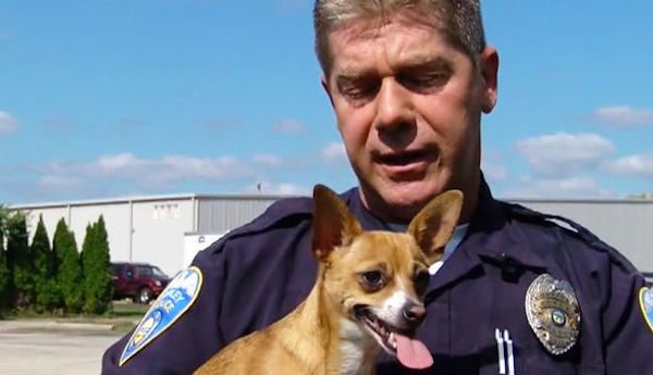 Police Officer Adopts Dog After Owner Tried To Break Her Neck