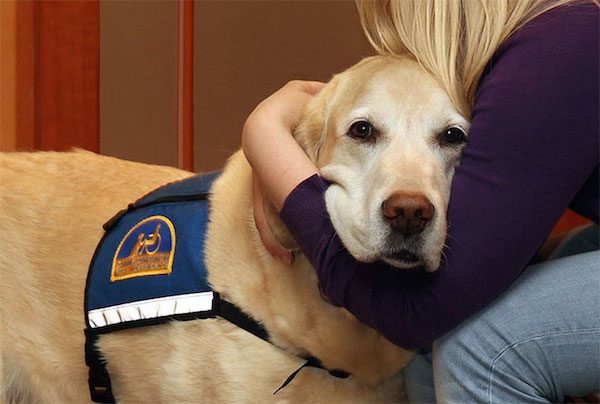 courthouse-dogs-2