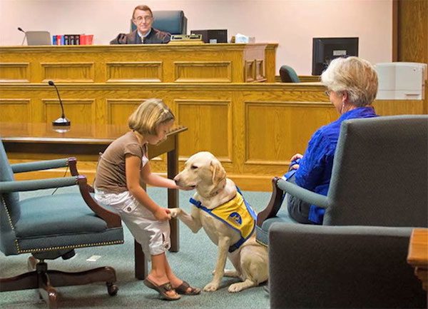 courthouse-dogs-3