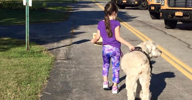 devyn and service dog