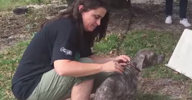 Meredith Vieira Spends Emotional Day With Rescue Mission Saving Dogs In Rural Communities