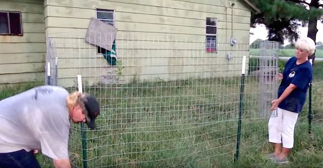 fence to catch dogs