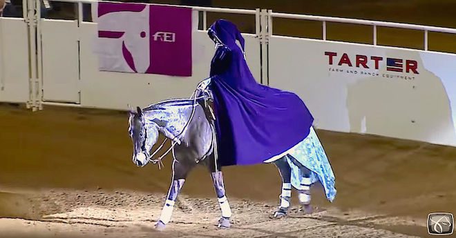 horse freestyle routine