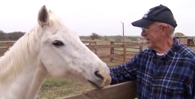 horse rescue retired couple