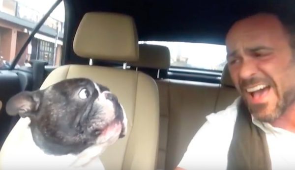 dog and man sing duet