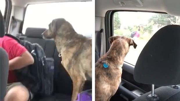 dixie cries for boy going to school