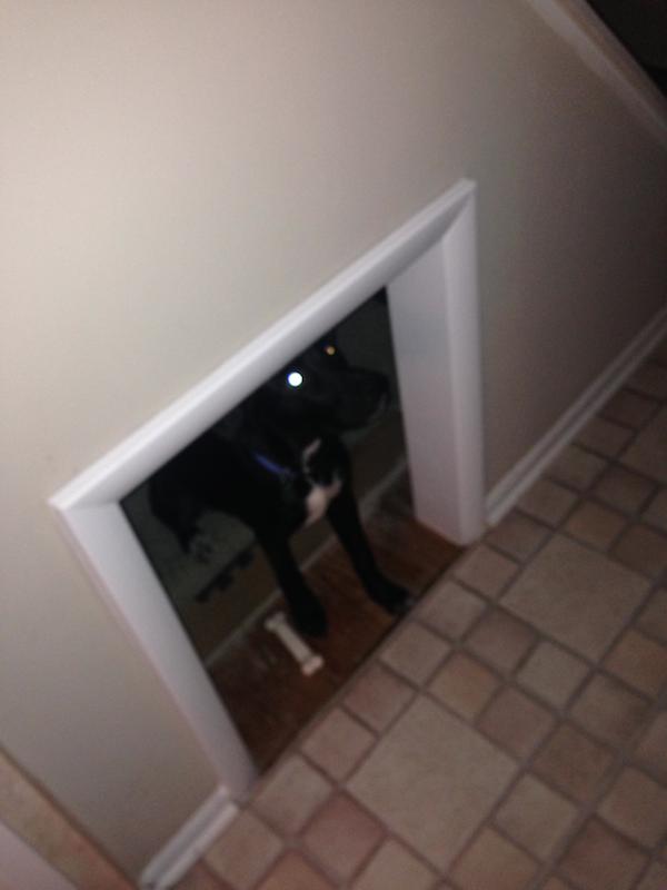 dog-cubby-6