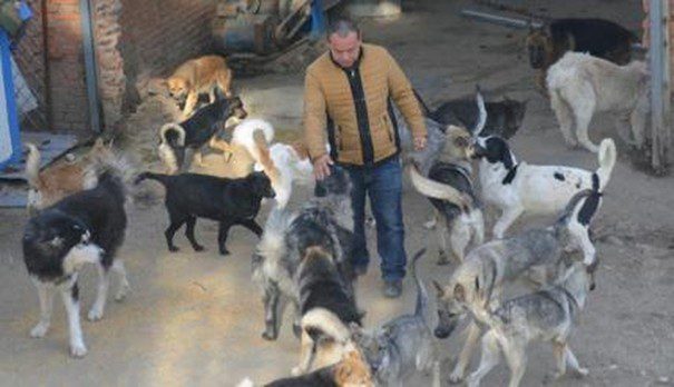 dog rescuer in China