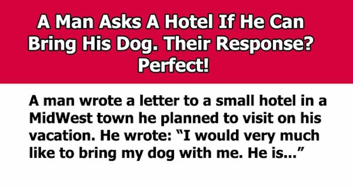 Hotel Has Perfect Response When Man Asks If He Can Bring His Dog