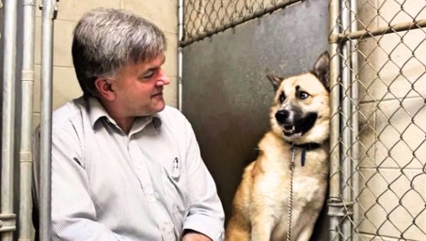 Jimmy rescue dog