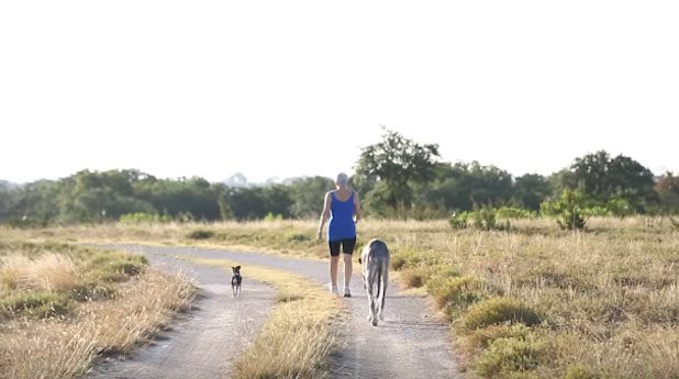 Woman And Her Gentlemanly Great Dane Share Unconditional Love