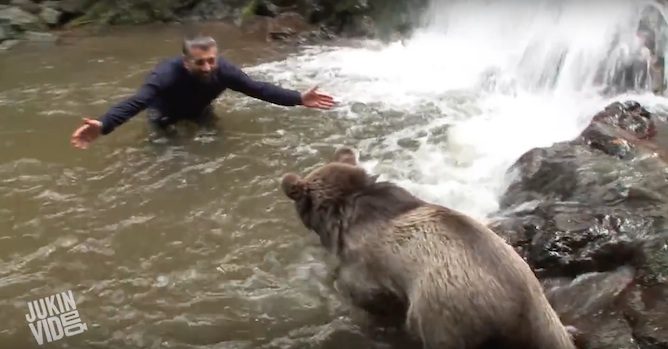 man meets a bear