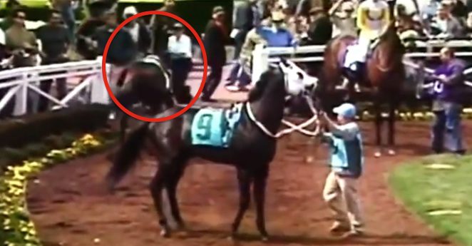 man saves girl from horse