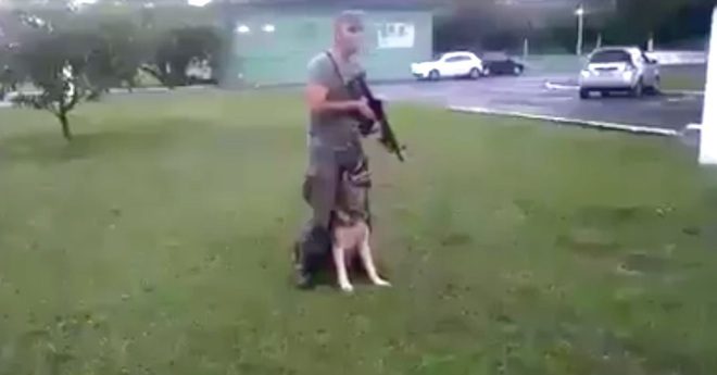 military dog training