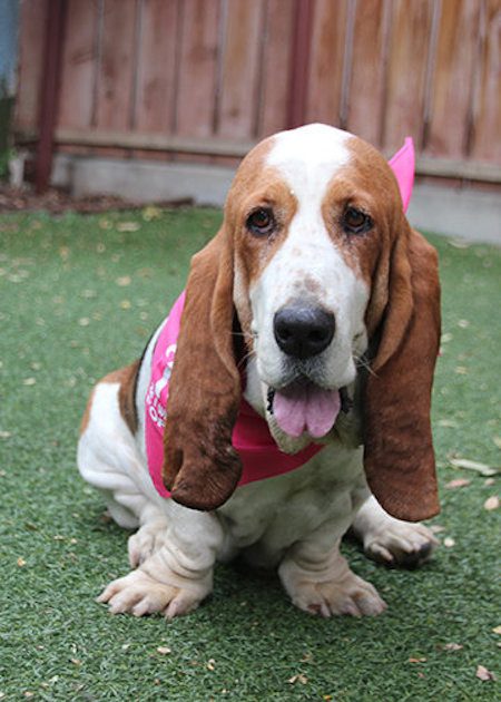 millie-1