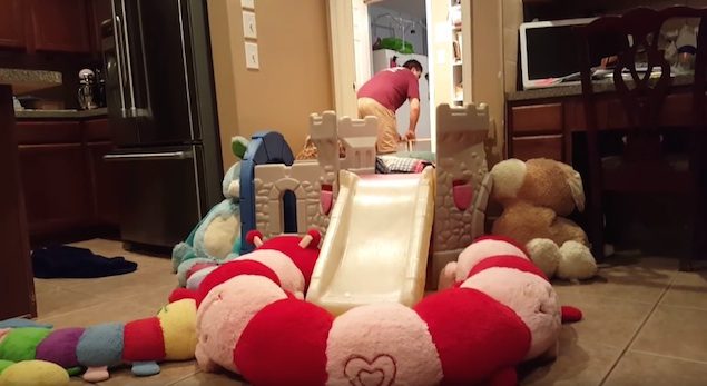 puppies storm the wall