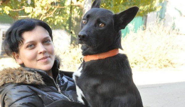 Devoted Dog Walks 200 Miles Back To Woman Who Rescued Her
