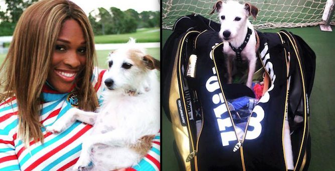 Serena Williams and dog