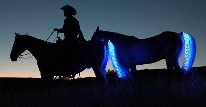 Tail Light Invention Helps Keep Horses And Riders Safe At Night