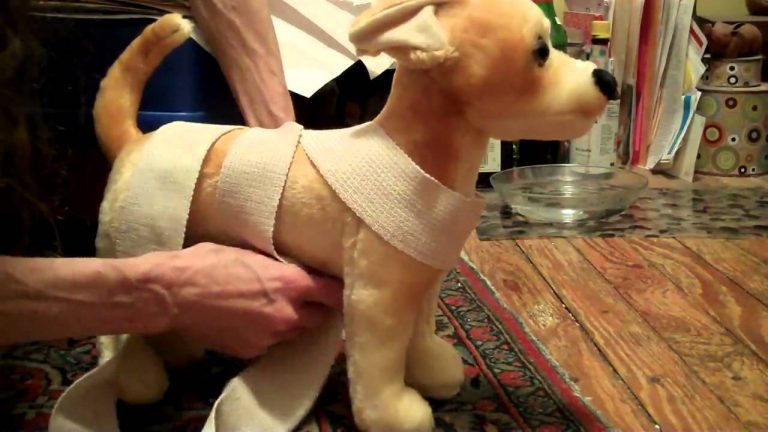 This Simple Trick Helps Calm Fearful Dogs During Storms And Fireworks
