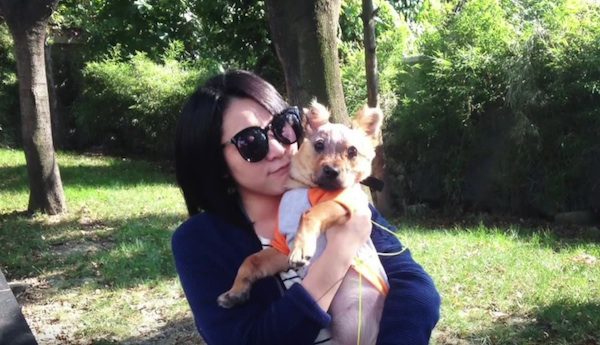 Puppy Punished In The Most Horrific Way For Chewing On Owner’s Phone Makes A Miraculous Recovery