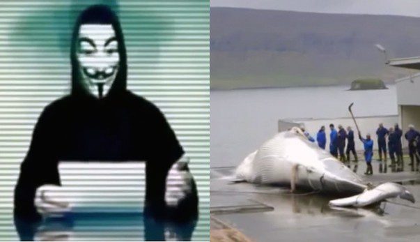 Anonymous Hackers Shut Down Iceland’s Websites In Protest To Its Whale Hunting