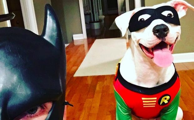 batdad and sugar
