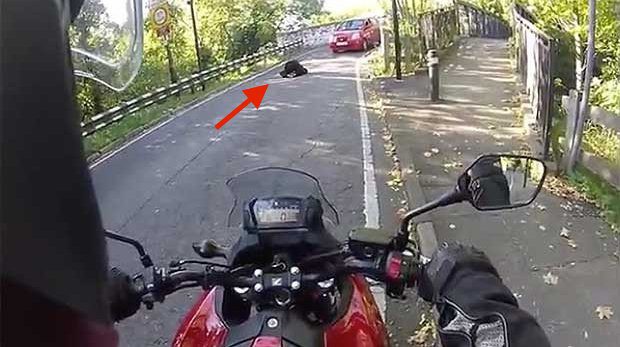 Heroic Motorcyclist Comes To The Rescue Of Suicidal Woman
