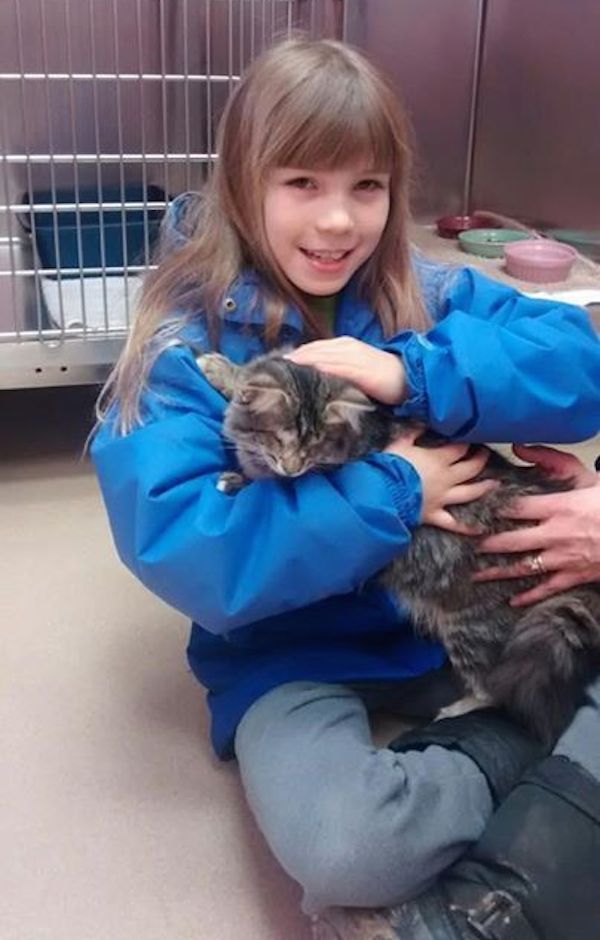 hope-kitten-4