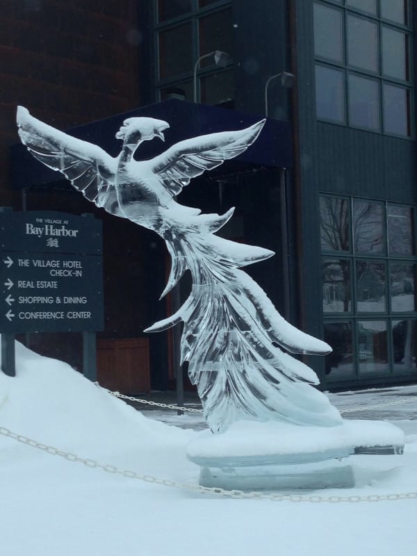 ice-sculpture-7