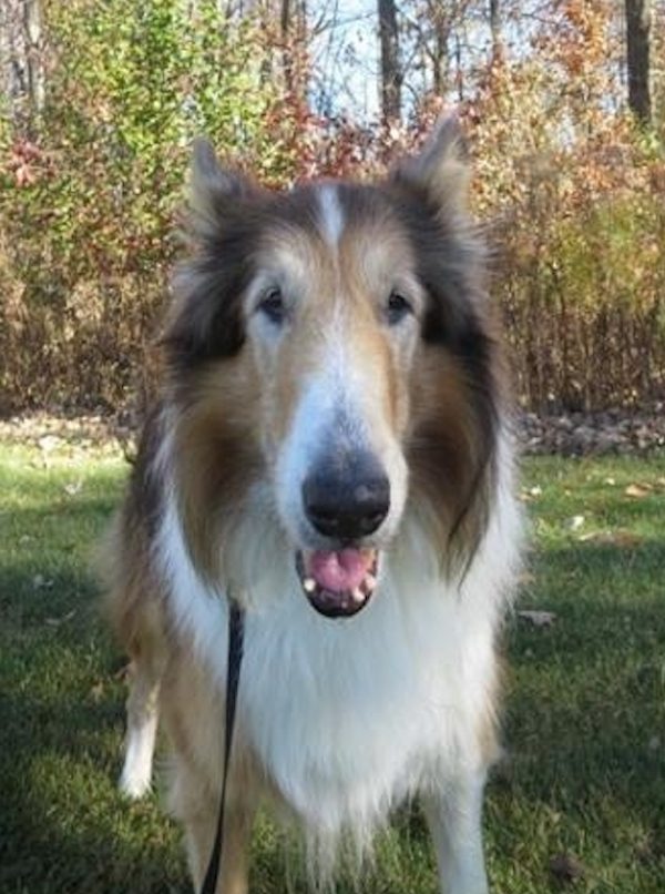 jake
