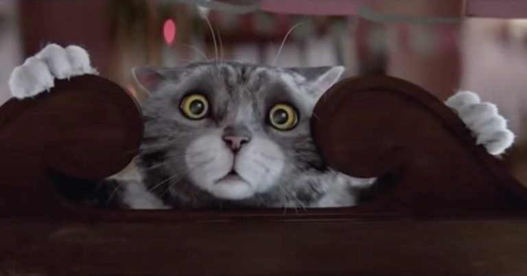 Clumsy Cat Creates Christmas Calamity In Heartwarming Advert