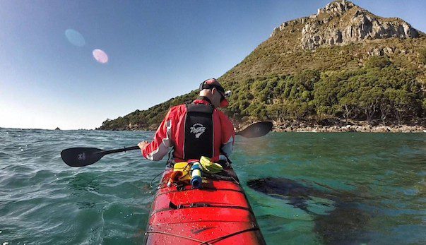 Wild Orca Swims Over To Say Hello To His Kayaking Friend