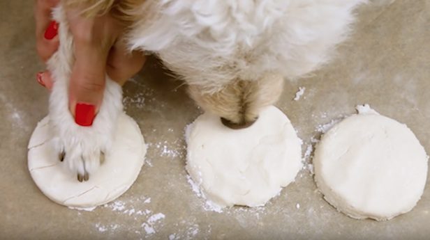 paw ornaments