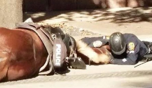 Policeman Comforts Police Horse In Her Final Moments