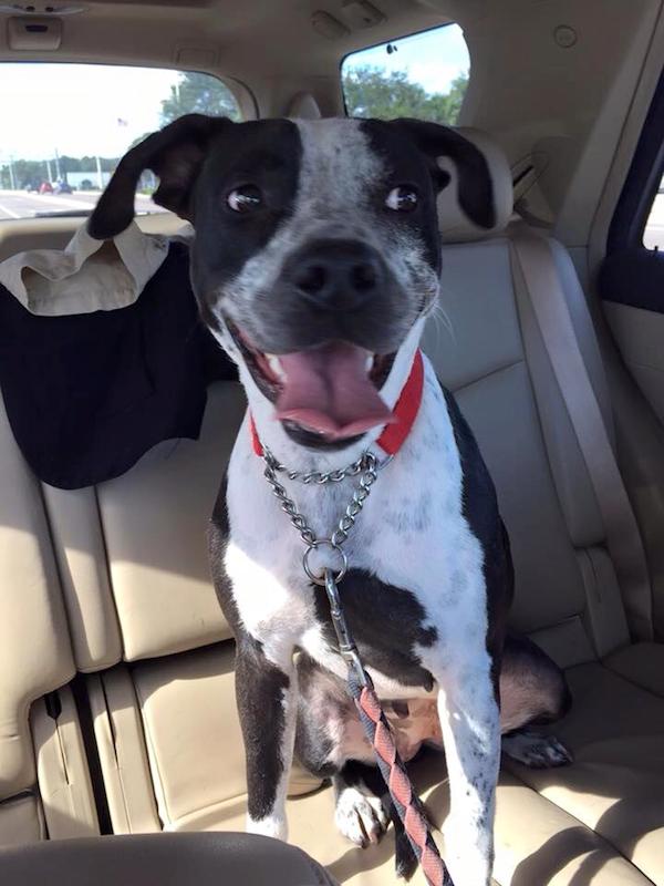 princess-freedomride-2