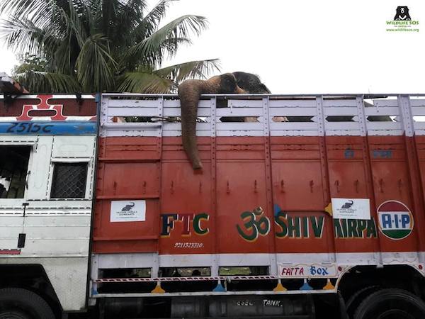 sita-truck