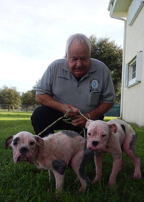 vero-puppies-2