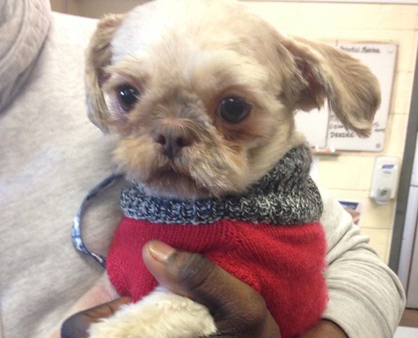 wash-humane-4