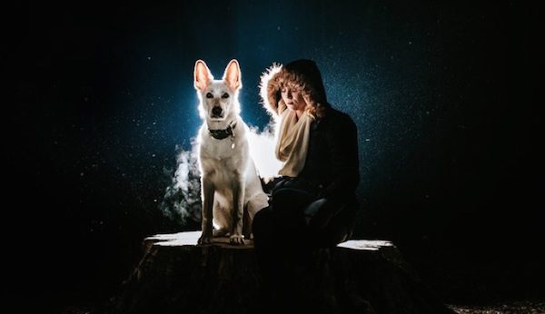 dog iin wintry night
