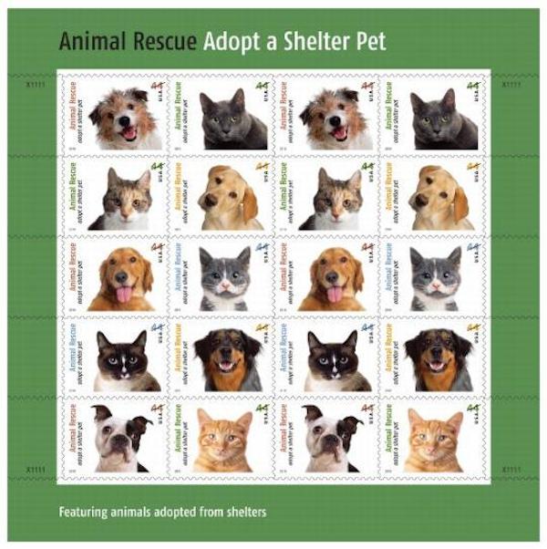 20 Pets Featured On Upcoming Pets Forever Postage Stamps Sure To Appeal To  Animal Lovers
