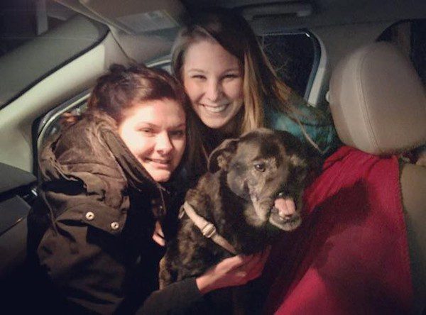 anubis-8
